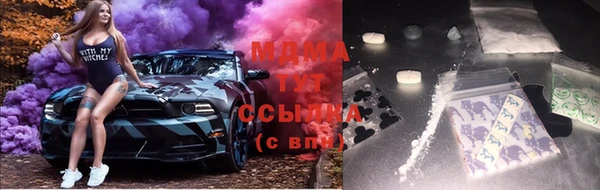 гашик Арсеньев
