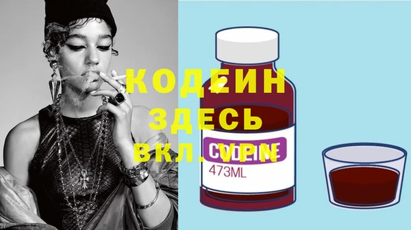 гашик Арсеньев