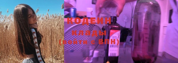 гашик Арсеньев