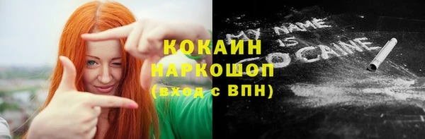 гашик Арсеньев