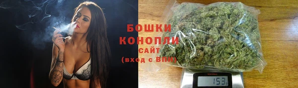 гашик Арсеньев