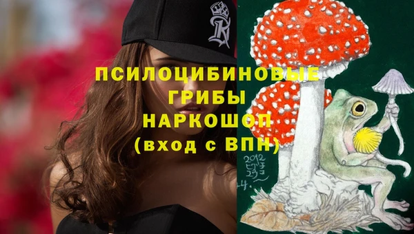 ПСИЛОЦИБИНОВЫЕ ГРИБЫ Аркадак