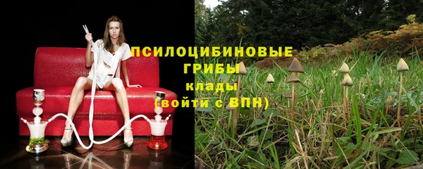 гашик Арсеньев