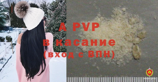 ПСИЛОЦИБИНОВЫЕ ГРИБЫ Аркадак