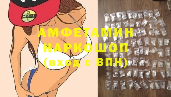 гашик Арсеньев